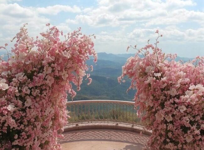 Niskie krzewy tarasowe